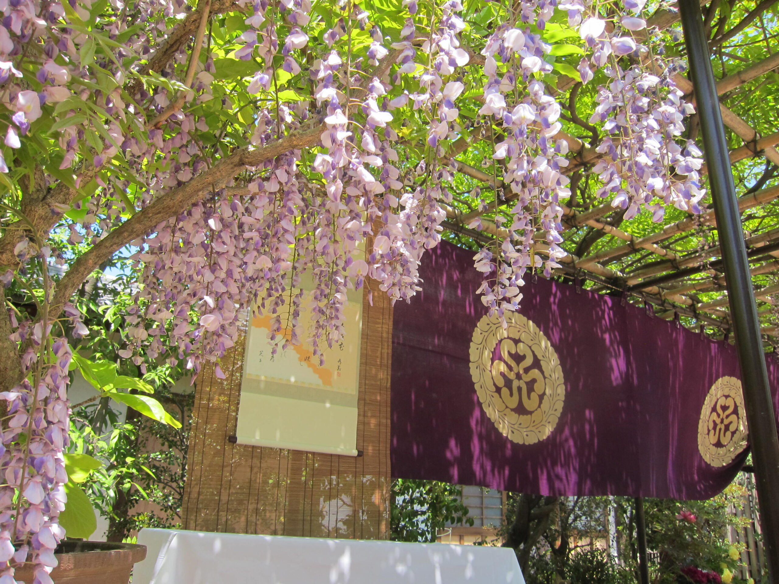 真野 真野山高福寺について - 真野山高福寺